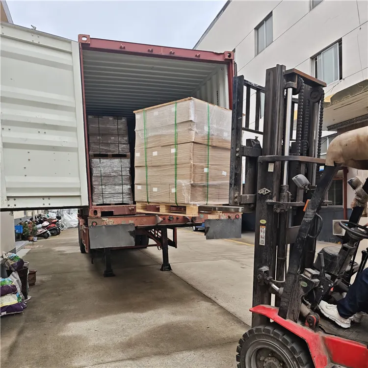 Abbiamo spedito 30.000 set di cinture di sicurezza in Egitto